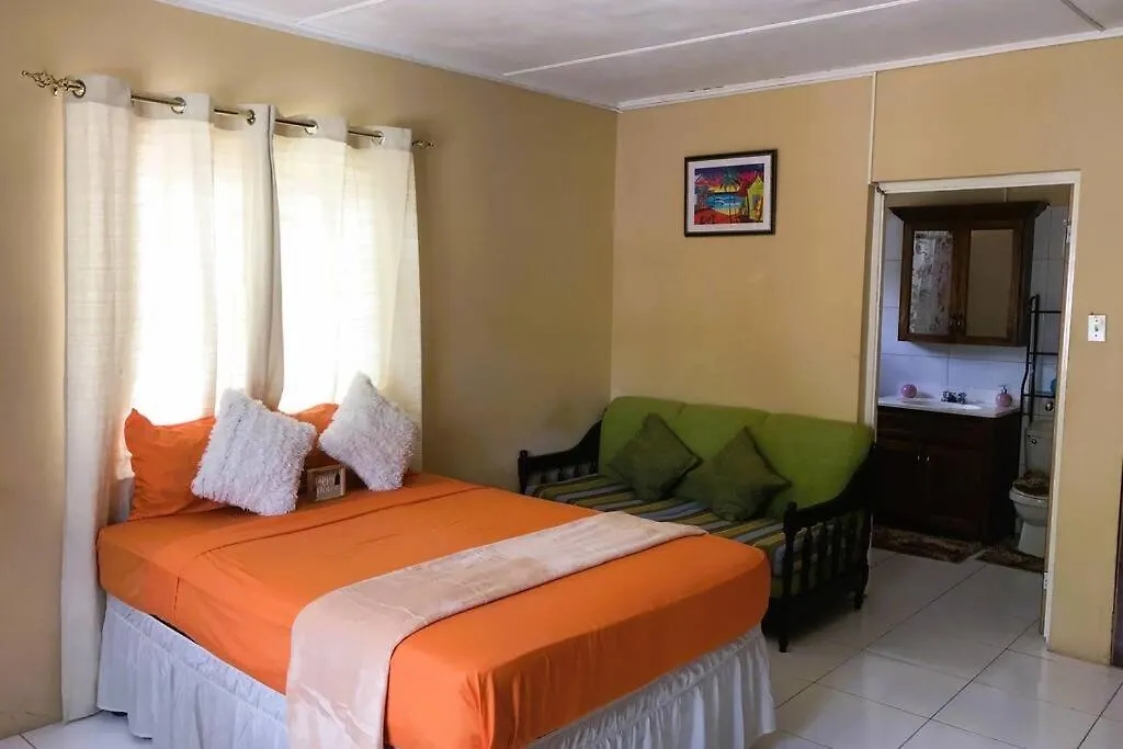 Studio In The Hills Of Ocho Rios Apartment